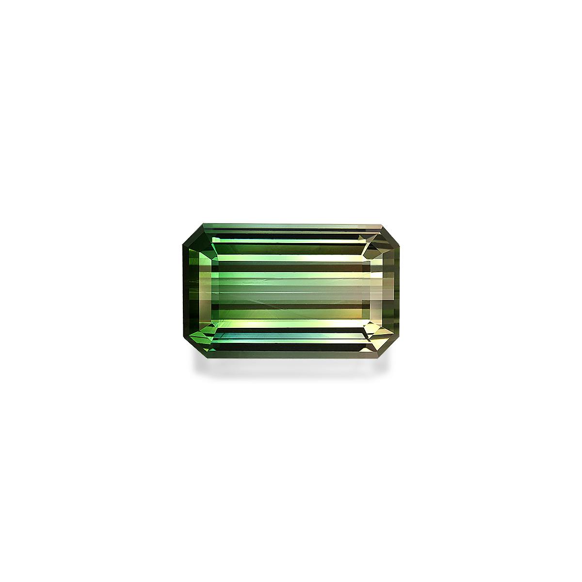 Bi Colour Tourmaline 23.83 ct